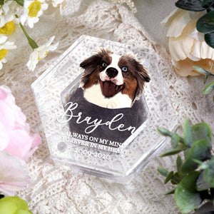 Custom Photo Pet Fur Keepsake - Personalized Pet Memorial Sympathy Gifts For Dogs, Cats, Loss Of Dog - Always In My Heart