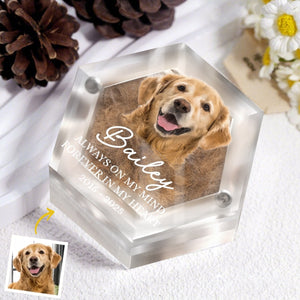 Custom Photo Pet Fur Keepsake - Personalized Pet Memorial Sympathy Gifts For Dogs, Cats, Loss Of Dog - Always In My Heart