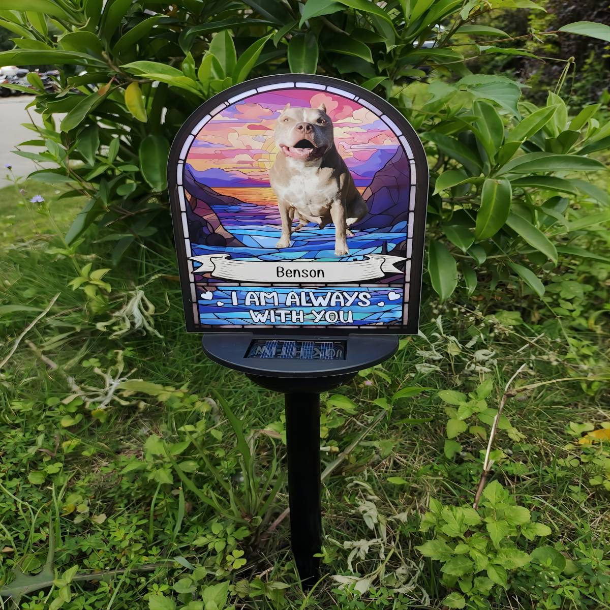 I'm Always With You - Personalized Photo Solar Light