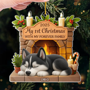 Custom First Christmas Acrylic Ornament - Personalized Christmas Birthday Gifts For Dog Lovers