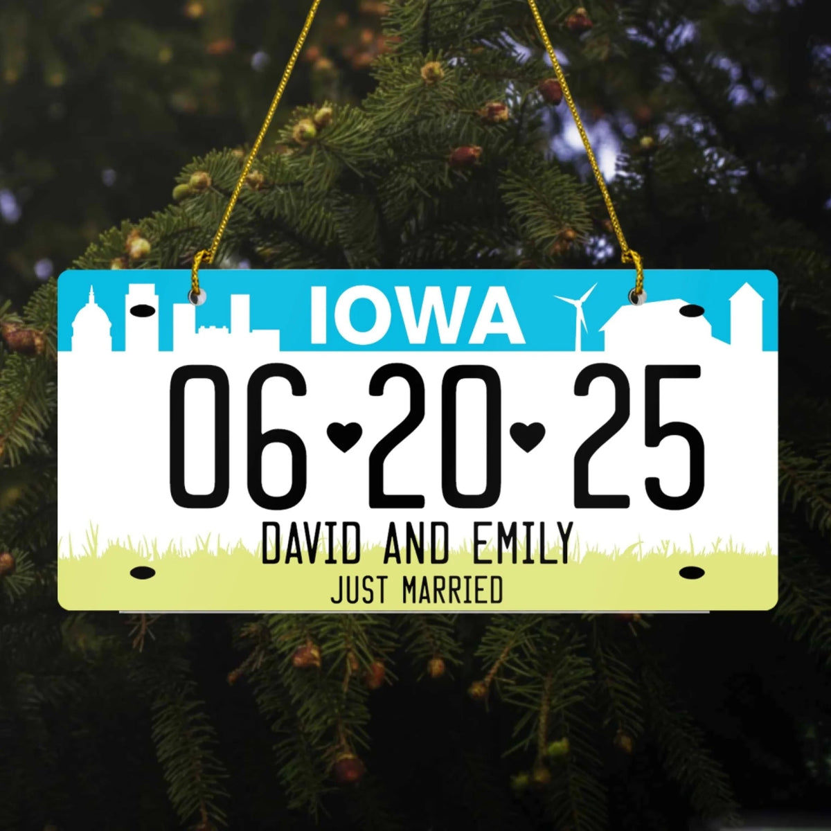 Just Married Custom Drivers License - Personalized Acrylic Ornament, Married Ornament Gift, Newlywed Gift