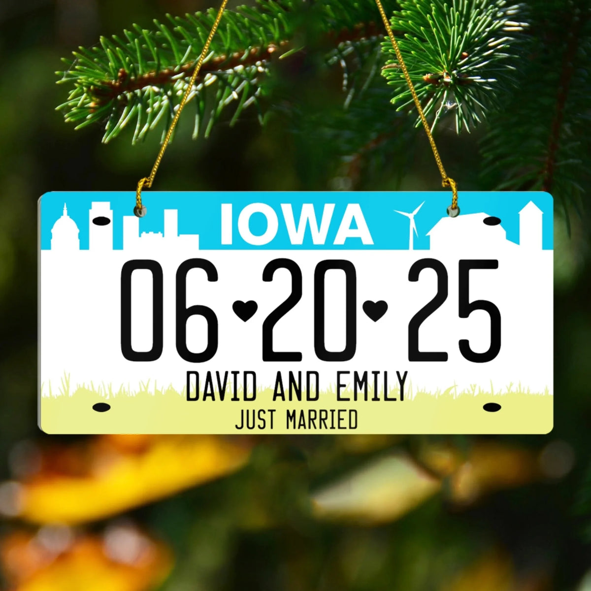 Just Married Custom Drivers License - Personalized Acrylic Ornament, Married Ornament Gift, Newlywed Gift