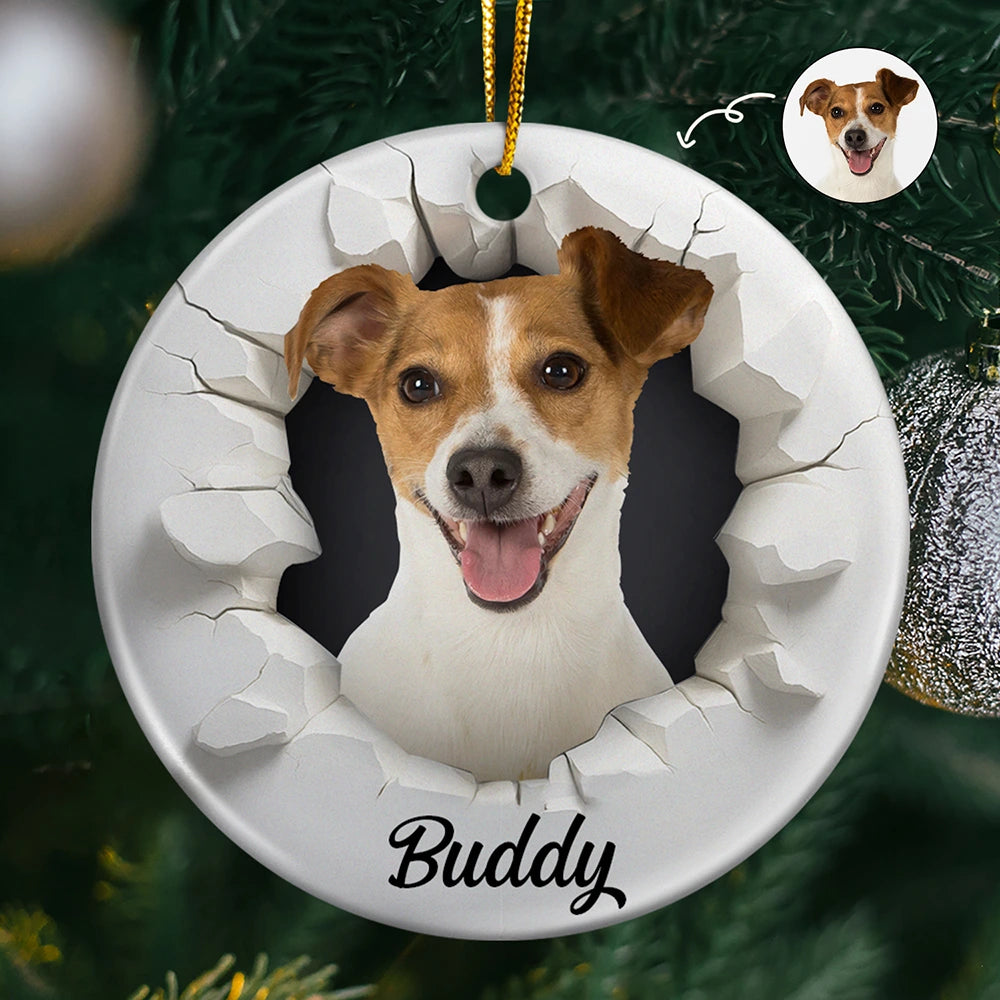 Custom Photo Snow Hole Funny Dog Cat Pet - Personalized Circle Ceramic Ornament