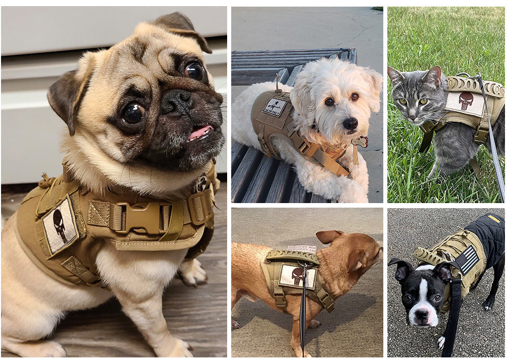 Personalized Pet Harness Vest Training Harness