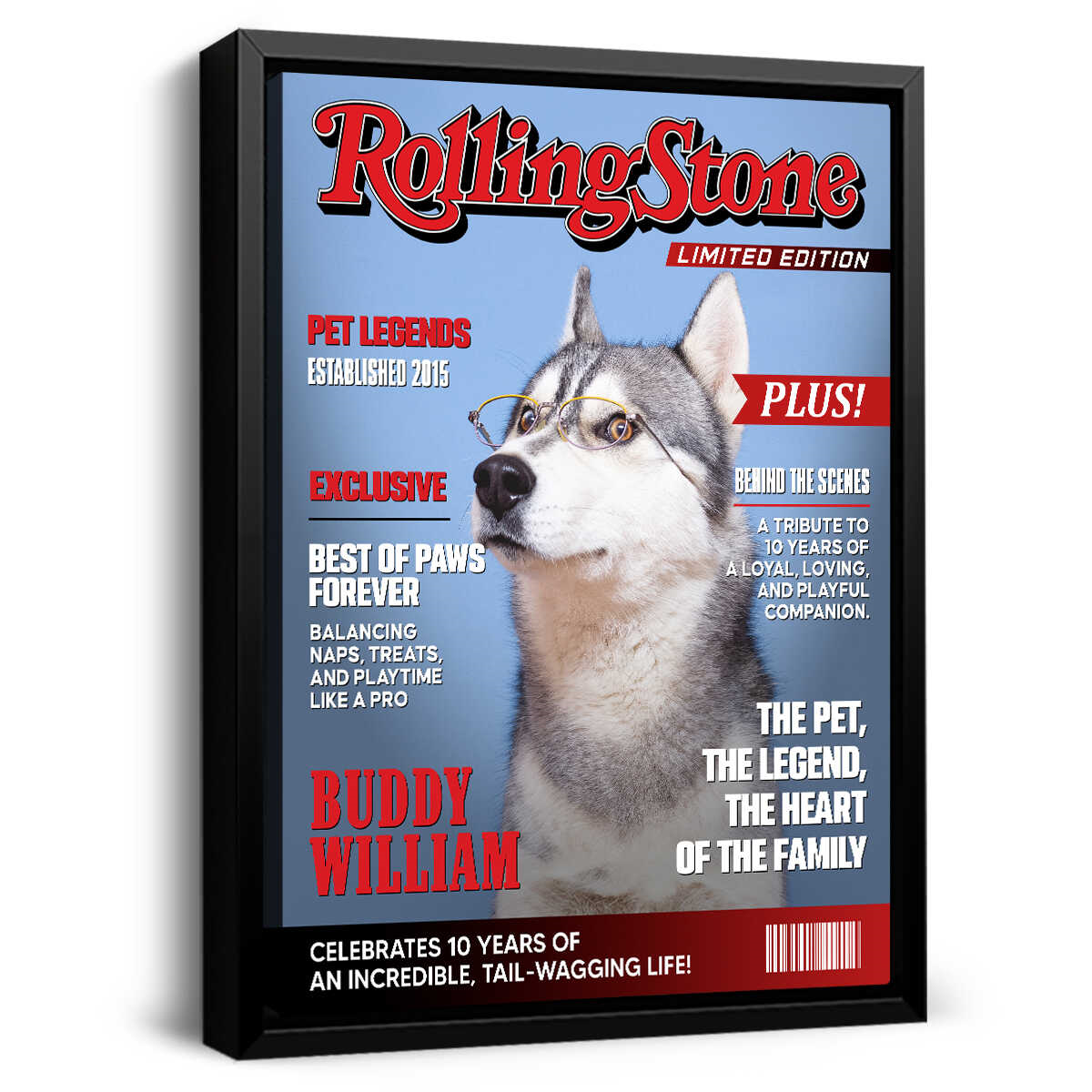 Pet Rolling Stone Magazine Cover, Custom Pet Portrait Photo Canvas, Personalized Dog Lover Gift