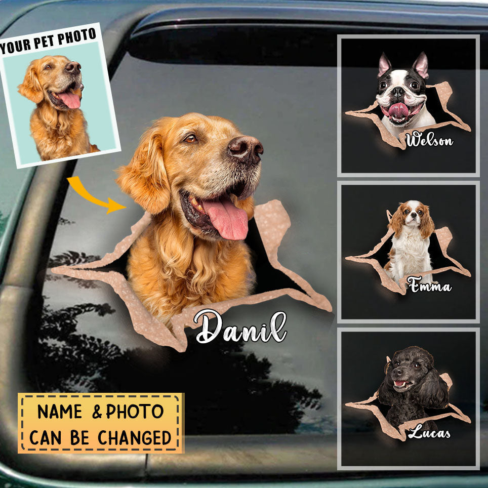 Personalized Pet lover Crack Car Sticker