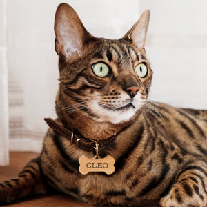 Personalized Stainless Steel Engraved Bone Shaped Dog Tag